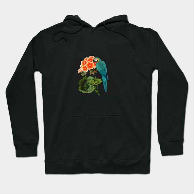 Botanical Alphabet K Hoodie by froileinjuno